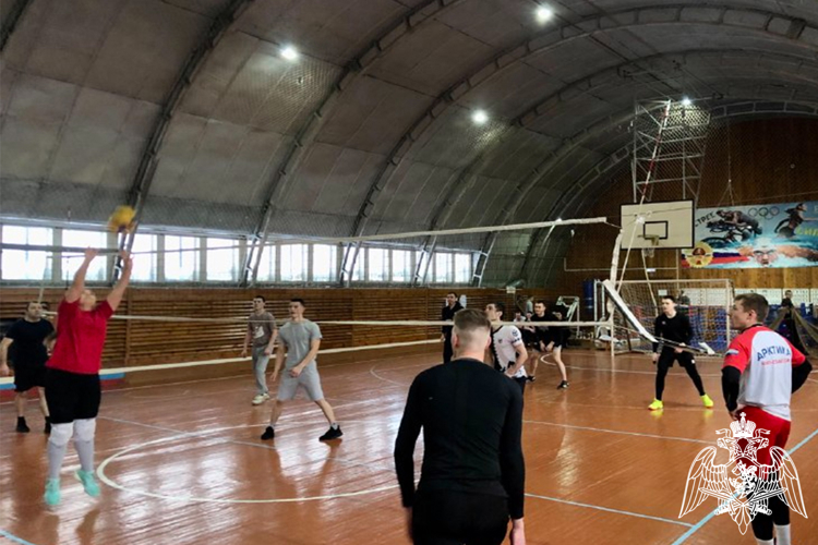 Спортивный праздник организовали кинологи Росгвардии в Тюмени