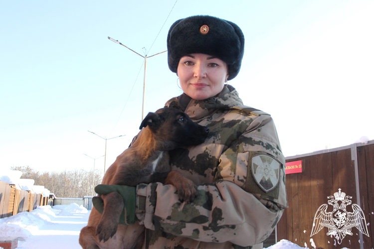 В эфире российского федерального телеканала «РЕН ТВ» вышел репортаж о кинологической службе Росгвардии