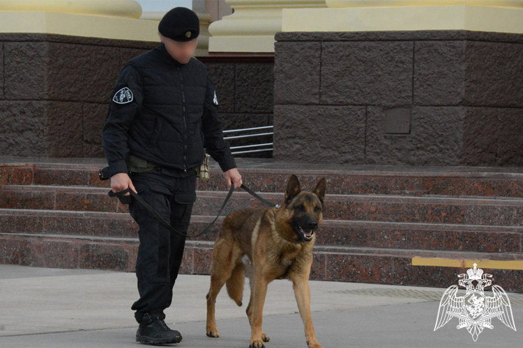 Росгвардия в Тюменской области обеспечила безопасность школьного праздника «Последний звонок»