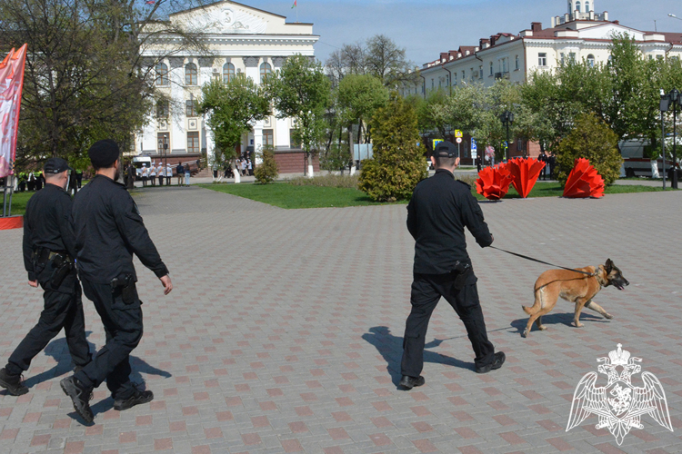 Росгвардия в Тюменской области приняла участие в обеспечение безопасности празднования 81-й годовщины Победы в Великой Отечественной войне