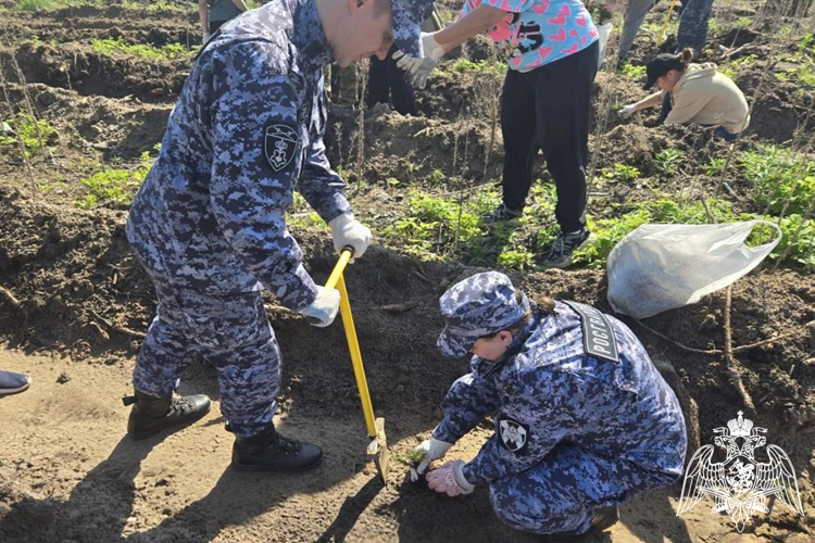  Руководство и личный состав Управления Росгвардии по Тюменской области поддержали  патриотическую акцию  «Сад памяти»