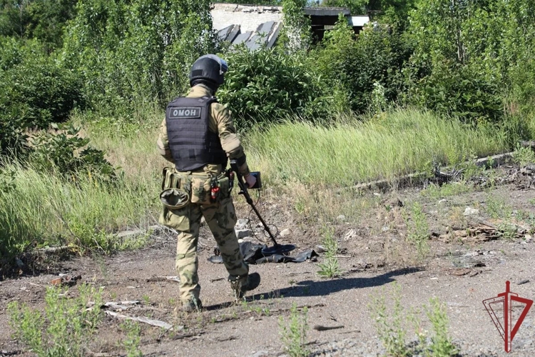 В ЛНР росгвардейцы обнаружили и уничтожили взрывоопасные предметы