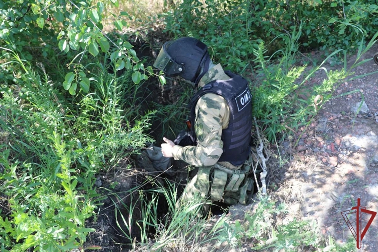 В ЛНР росгвардейцы обнаружили и уничтожили взрывоопасные предметы